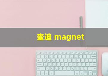 奎迪 magnet